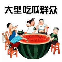 团宠小南朝堂吃瓜免费阅读,宫廷风云，笑料百出