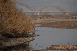 黄河裸泳爆料视频下载,揭秘事件背后真相与争议